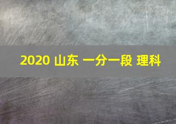 2020 山东 一分一段 理科